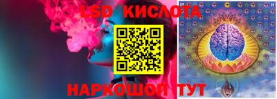 ПСИЛОЦИБИНОВЫЕ ГРИБЫ Свободный